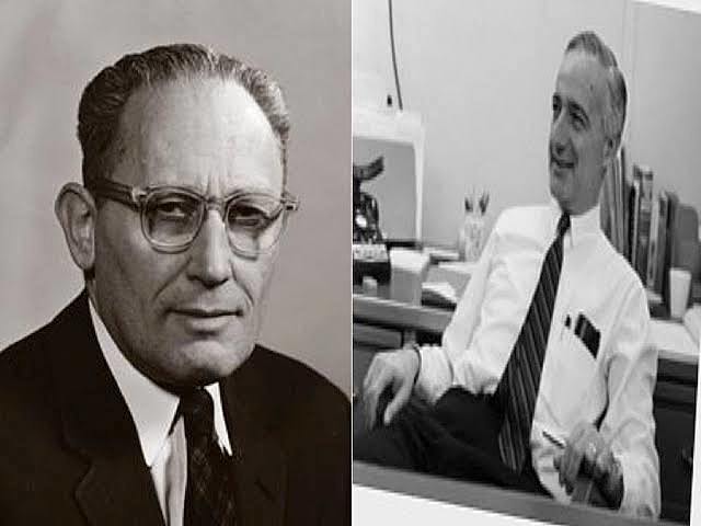 Katz y Kahn (1950-1986) Escuela de sistemas