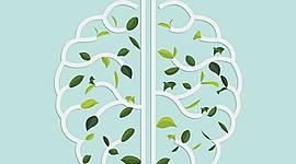 Timeline: Antecedentes de la psicología ambiental