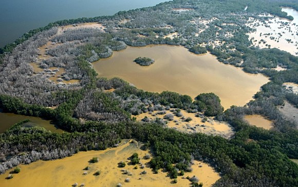 La agonia de la cienaga grande de Santa Marta