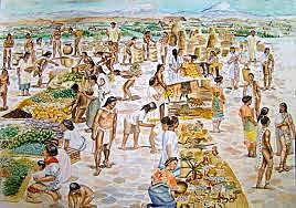 Organización Agraria de los Mayas.