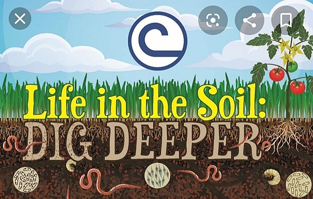 Conservation writing contest