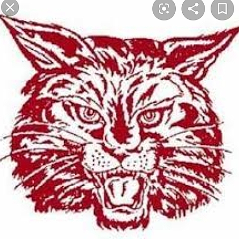 Middle school talent show