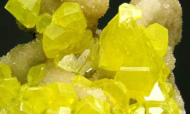 Plinio Viejo de Roma