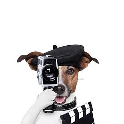 Timeline: Historia Del Cine