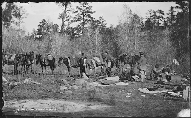 Thomas Burgess, miembro fundador de la sociedad, comenzó a asumir la causa del bienestar animal y tratamiento más humanitario de los animales enfermos.