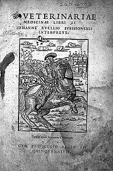 Fue un genio griego de la medicina equina. Escribió sobre ántrax, tétanos, y gurma; sobre cirugía y desórdenes de la reproducción.