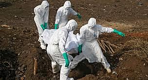 Epidemia del ebola