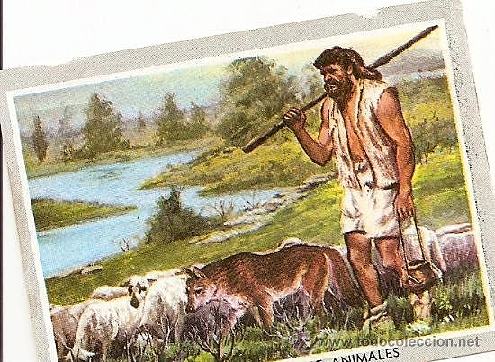 Comienzo de la domesticación animal