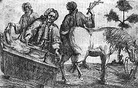 Edad media. Anatomistas