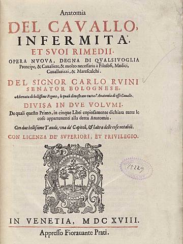 Primer tratado de anatomía de una especie no humana