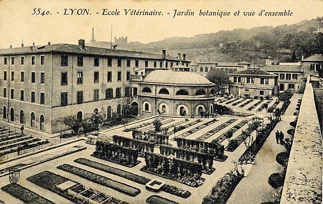 Francia. Primera escuela de veterinaria en el mundo