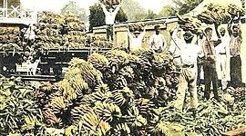 Timeline: HISTORIA LABORAL EN COLOMBIA