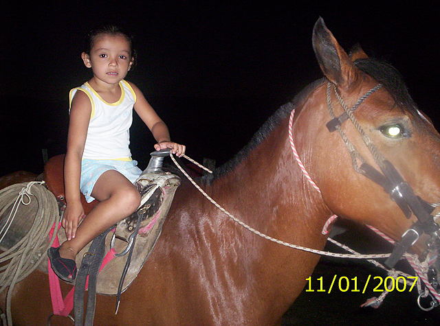 Vacaciones en la finca