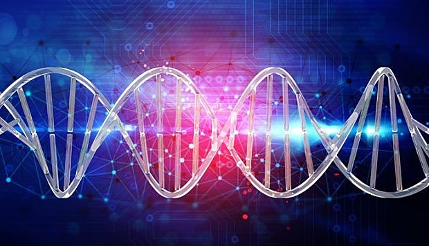 Genética de poblaciones