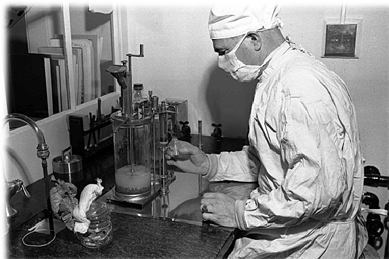 Se descubre la vacuna contra la tuberculosis.