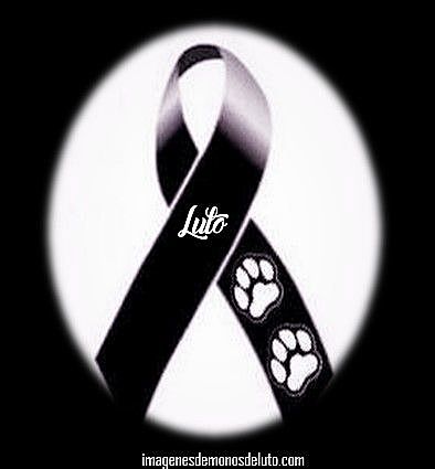 Aprendì a sobrellevar los momentos más difíciles