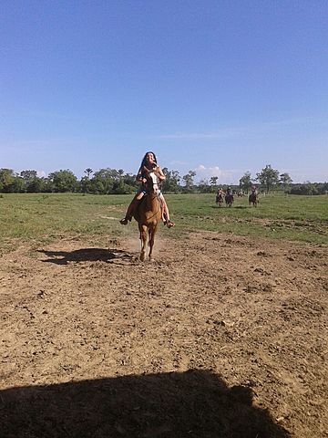 Carrera de caballos contra mi papi