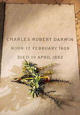 darwin charles westminster grave abbey timetoast death robert lie