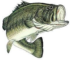 Catching My First Fish