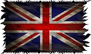 Acta de salud pública.