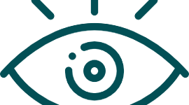 Timeline: Observación Etnografica