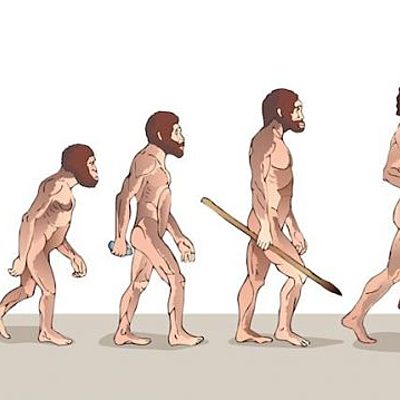 Timeline: La evolución de la humanidad