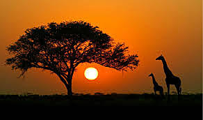 El fin de la guerra del desierto