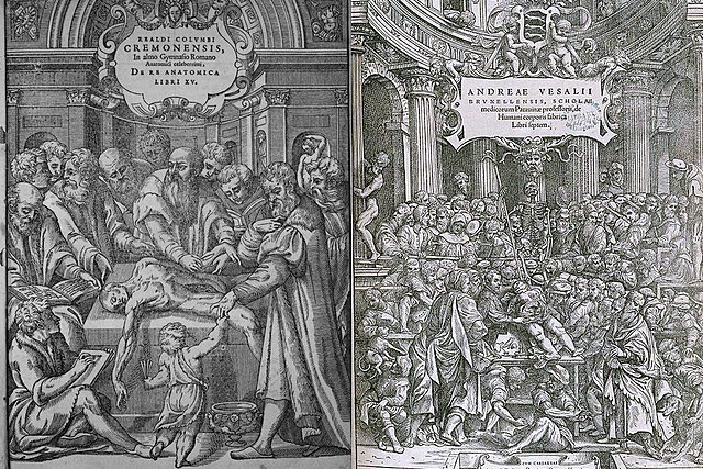 Cirugía ortopédica