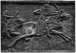 Los caballos durante el Ejército Asirio