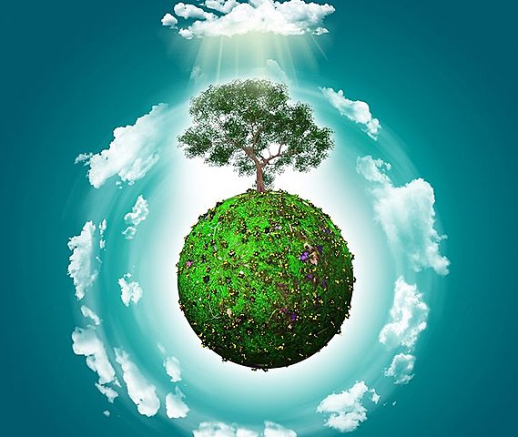 Educación Ambiental