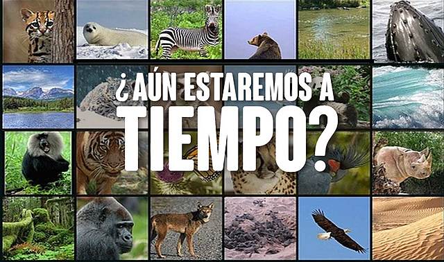 Convención para la preservación de los animales silvestres, pájaros y peces del África.