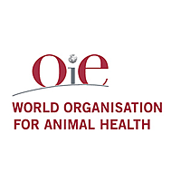 Organización Mundial de Sanidad Animal
