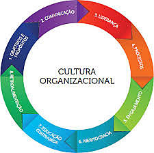 Cultura organizacional