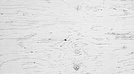 Timeline: 1994 después de amar