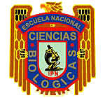 Creación de PECEL, México