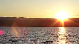 Timeline: Life Map Assignment