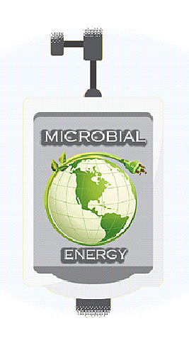 INTERÉS EN EL NÚCLEO
