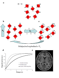 “SPIN DIFUSSION MEASSUREMENTS: SPIN ECHOES IN THE PRESENCE OF A TIME-DEPENDENT ﬁELD GRADIENT”
