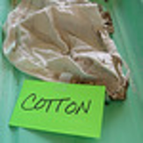 Conclusion-  Cotton