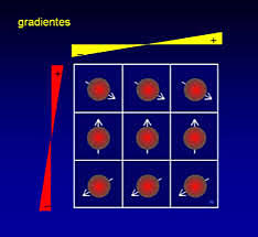 PETER MANSFIELD-SECUENCIAS EPI