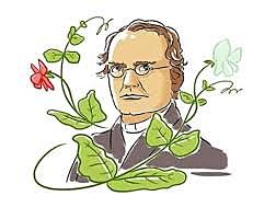 Gregor Mendel