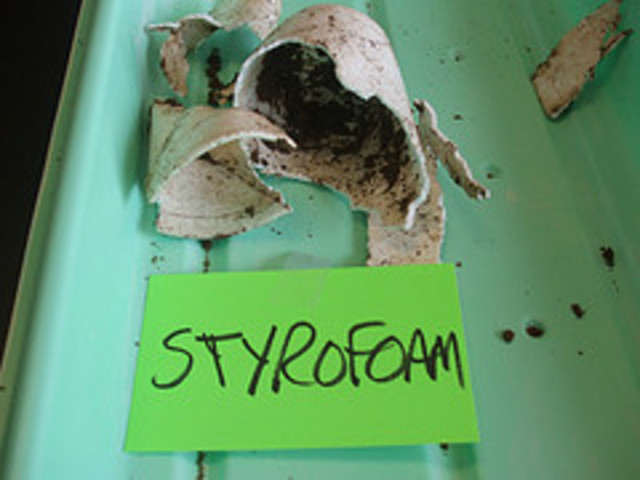 Conclusion- Styrofoam