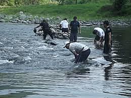 Ministerio De Agricultura