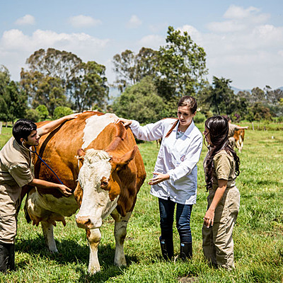Timeline: Línea de tiempo de Medicina Veterinaria   -            Victoria Guadalupe Tapia Zamarrón 051