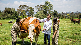 Timeline: Línea de tiempo de Medicina Veterinaria   -            Victoria Guadalupe Tapia Zamarrón 051