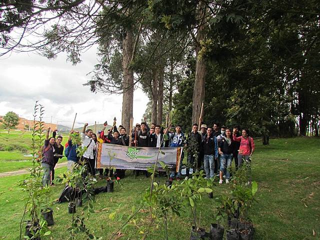 Recuperación ambiental