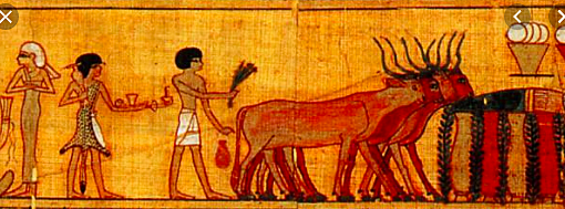 Presencia de jeroglificos que datan la medicina en animales