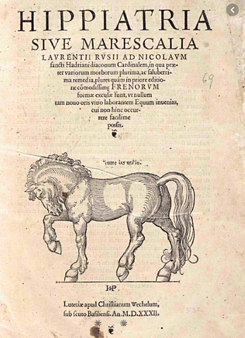 Lorenzo Rusio escribe un libro sobre veterinaria equina