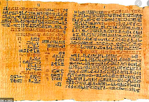 En los papiros egipcios se mencionan enfermedades animales y sus tratamientos