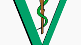 Timeline: Historia de la Medicina Veterinaria